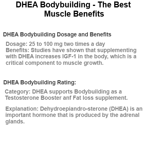 dhea bodybuilding